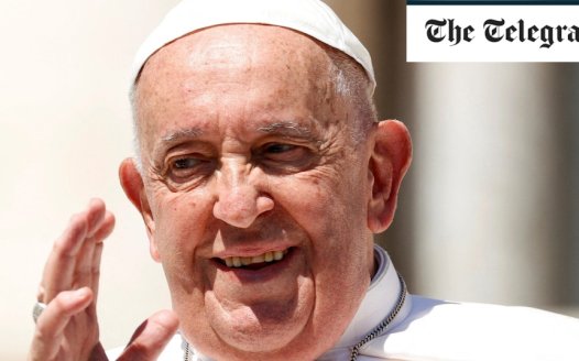 Pope Francis repeats homophobic slur weeks after apology
